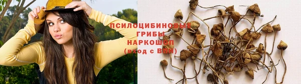 прущая мука Киренск