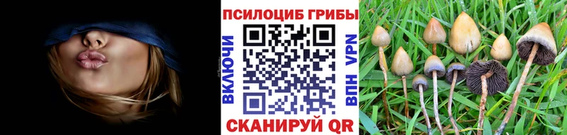 blacksprut маркетплейс  купить   площадка состав  Псилоцибиновые грибы Cubensis  Малгобек 