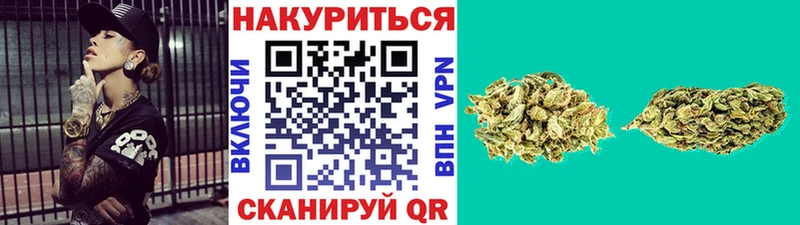 Каннабис планчик  Малгобек 